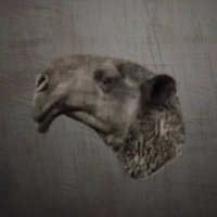 نداء النوب ∩l ' (@ndamutairi) 's Twitter Profile Photo