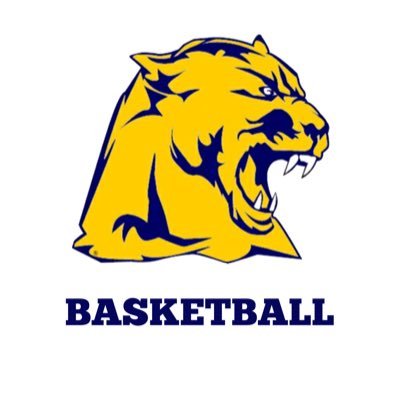 Toledo Whitmer Basketball