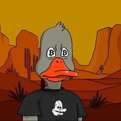 DER🅿️🅿️.eth 🧪🦍さんのプロフィール画像