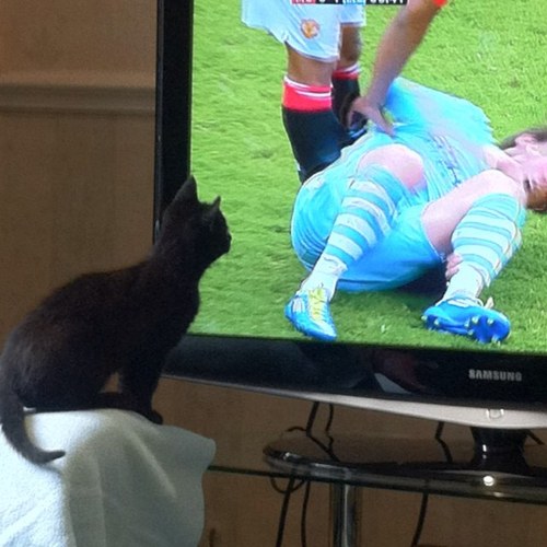 dav_leigh's profile picture. 