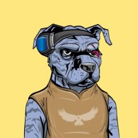 theBdizzle.eth (@thebdizzle_eth) 's Twitter Profile