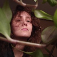 :'/ (@sltcnore) 's Twitter Profile