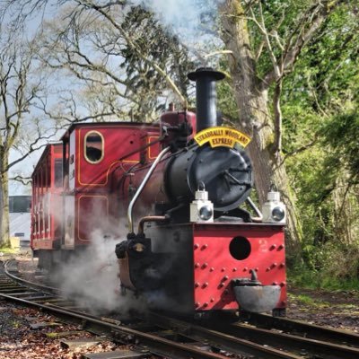 Heritage trains in Stradbally, Co Laois on bank holiday weekends and selected spring/summer dates. Next public open day May bank holiday Sun 5th & Mon 6th 🚂