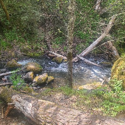 BlethenFrank's profile picture. 