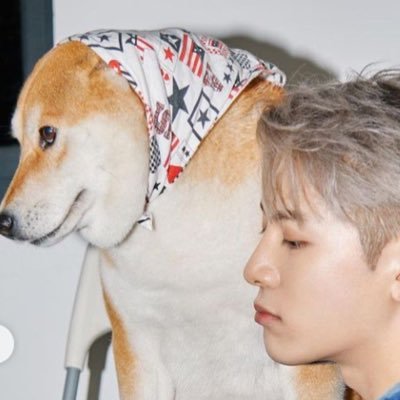 WTF Team Wang 2024さんのプロフィール画像