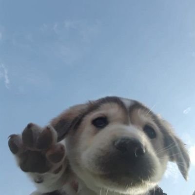 Spoorti_D's profile picture. 