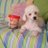 camaraj58's profile image