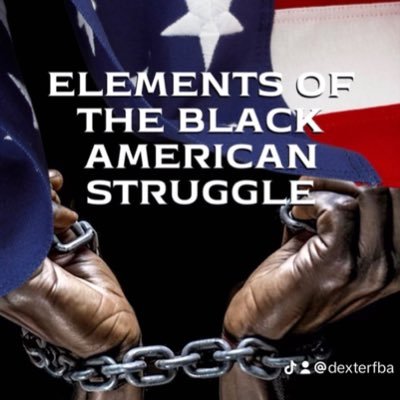 Hello X fans.  My book entitled, ‘Elements of the Black American Struggle’ will be available on Amazon/Kindle February 1, 2024