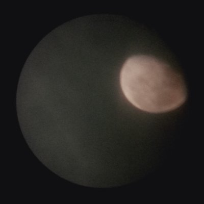 Xouanne's profile picture. 