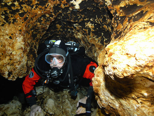 divewithbert's profile picture. Providing quality technical diving training