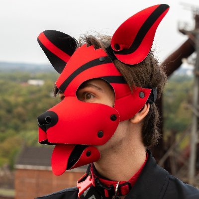 pup_conan's profile picture. Puppy, 
21yrs old,
Pansexual, 
Based in NRW, Germany, 
Cuddly, talkative and sometimes a little naughty