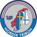 Nordik Tribün (@nordiktribun) Twitter profile photo