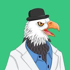 fvc795's profile picture. hy guyshh