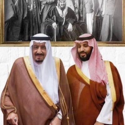 شفاء 🇸🇦عاشقة الوطن 💚