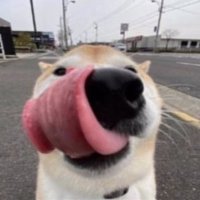 Crunchy Munchy (@crunchymf) 's Twitter Profile
