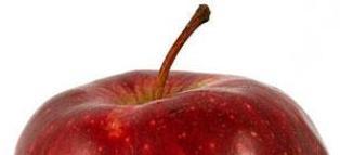 Alimentos Hoy, fundada para entregar informacion actualizada de ciencia de los alimentos y nuevas tendencias