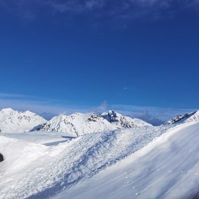 WanluZhang65986's profile picture. 