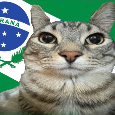 CappenNex's profile picture. Deus em primeiro
Paranaense
🌾
🇮🇹