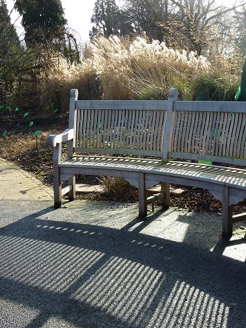 RamuzDesign's profile picture. Professional garden designer. Specialty: Edible gardens! Designing beautiful, creative and productive spaces for all to enjoy.