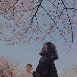 Soothea142591's profile picture. Live a happy life with gratitude