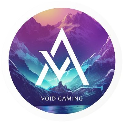 voidgamer224 Profile Picture