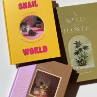 Broccoli (@broccolimag) 's Twitter Profile