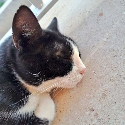 26|| Yo aquí he venido a shippear y a leer también.
Fiel defensora de que el amor verdadero existe, el problema es que todavía no lo he encontrado.
