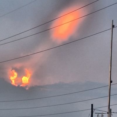 RequiredOptionL's profile picture. 