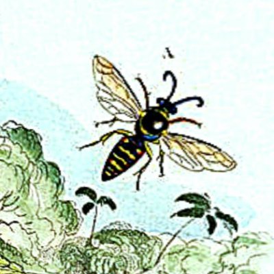 MediaevalWasp Profile Picture