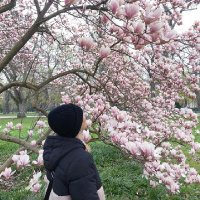 Deniss 🇹🇷🇩🇪🕊️ Bilim insanlarının annesi (@dunyaliyimm) 's Twitter Profile