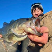 あ き と 〈 遠藤 晟大 〉 (@bass_akito) 's Twitter Profile Photo