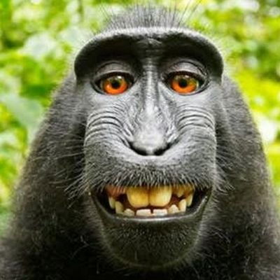 JalinRahbei's profile picture. 