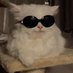 SuperCat373 (@catsuper373) Twitter profile photo SuperCat373 (@catsuper373) Twitter profile photo