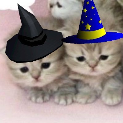 wizard pulu🇫🇮さんのプロフィール画像