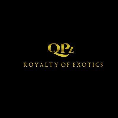 Clothing Brand, Music Mogul, Entrepreneur, Artist