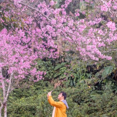 เจเจตอบช้าเพราะติดนิยายเกย์さんのプロフィール画像