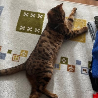 Yama49669006's profile picture. 静岡東部