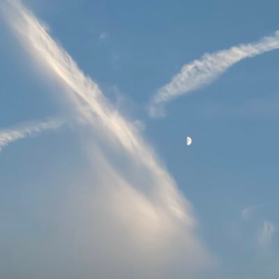 daforest6's profile picture. 打雷要下雨雷欧