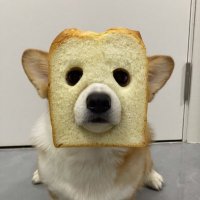 汪叽 (@cb0qaq) 's Twitter Profile