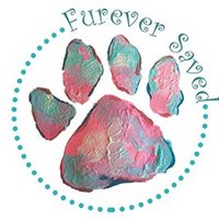 Furever Saved Rescue, Inc(@FureverSaved) 's Twitter Profile Photo