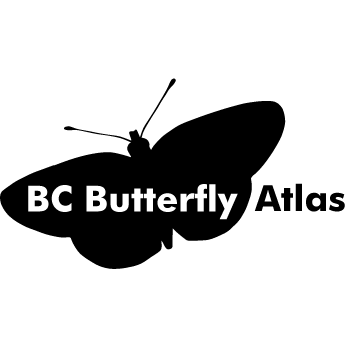 The BC Butterfly Atlas is a community-based citizen science project aimed at increasing our knowledge of the status and distribution of butterflies in BC.