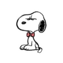 on202307's profile picture. 不妊治療アカウント🐣86生。2023.03から1人目不妊治療スタート。AMH0.2以下📉日々の記録や治療の経過や思うことなど😌同じ境遇の方と繋がれたら嬉しいです✨無言フォロー&いいね失礼します🙏みなさん応援してます🥺