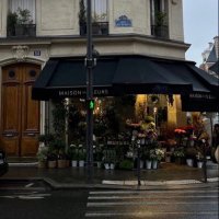 . (@i4rcll) 's Twitter Profile