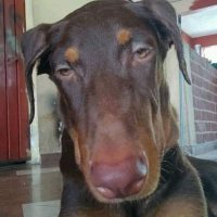 MlkVeryCrazy (@mlkverycrazy) 's Twitter Profile
