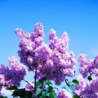 Qcr9D2's profile picture. 