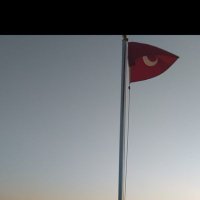 Musab Ergül(@ErgulMusab) 's Twitter Profile Photo