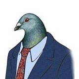 pigeon.ethさんのプロフィール画像