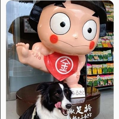 他愛もない日常のTweetです✨犬キチ🐶💓
美味しい物、スイーツが大好き🎶
車（いまだMT（笑）バイク、海が好き🎶
マイナスイオン感じながらの
ドライブ最高🤟🍀
#犬 #ドックラン #ドックカフェ #ドライブ#神奈川県