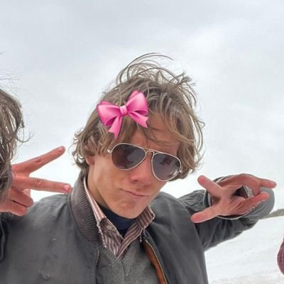 lvsfrans's profile picture. 