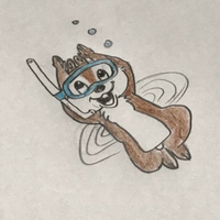 ノゾム(yk) (@ykbass0611) 's Twitter Profile